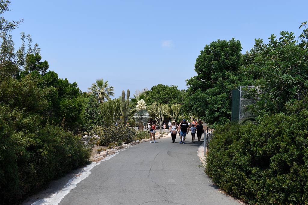 Paphos-zoo 07-pathway2 paphos-zoo_07-pathway2