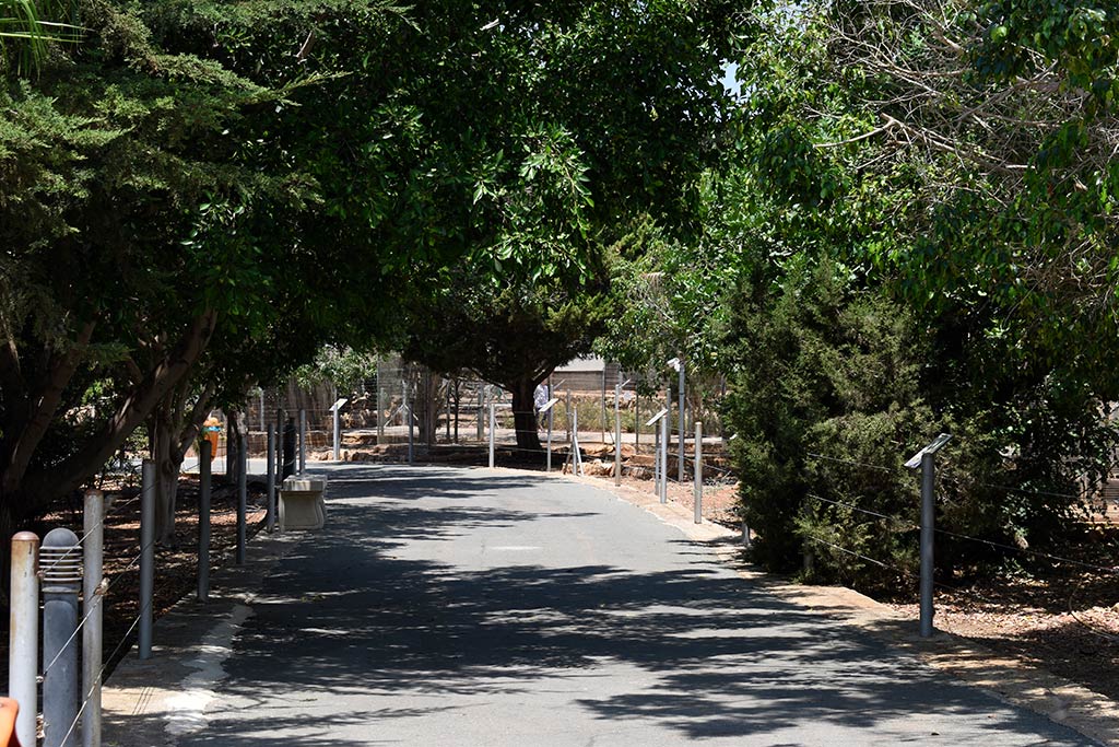 Paphos-zoo 13-shady-bench paphos-zoo_13-shady-bench