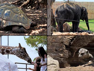 Pafos Zoo