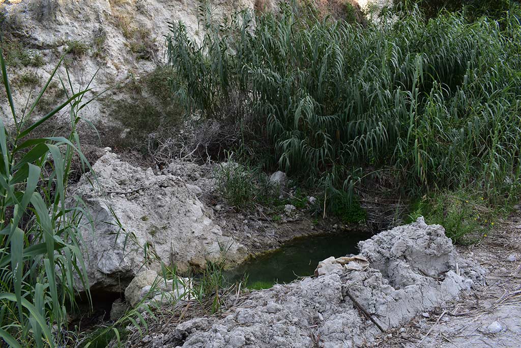St-anastasia-sulphur-spring 09 st-anastasia-sulphur-spring_09