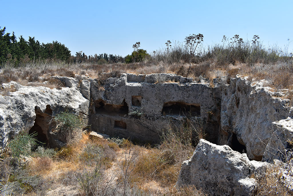 the-necropolis-in-the-neopolis_05