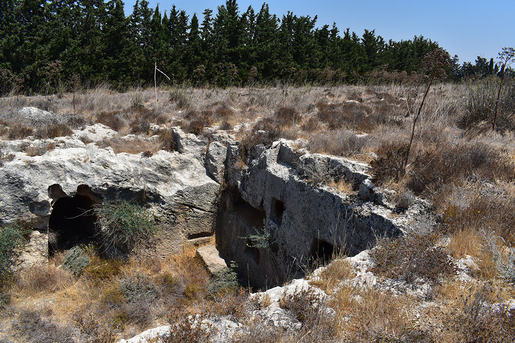 the-necropolis-in-the-neopolis_06