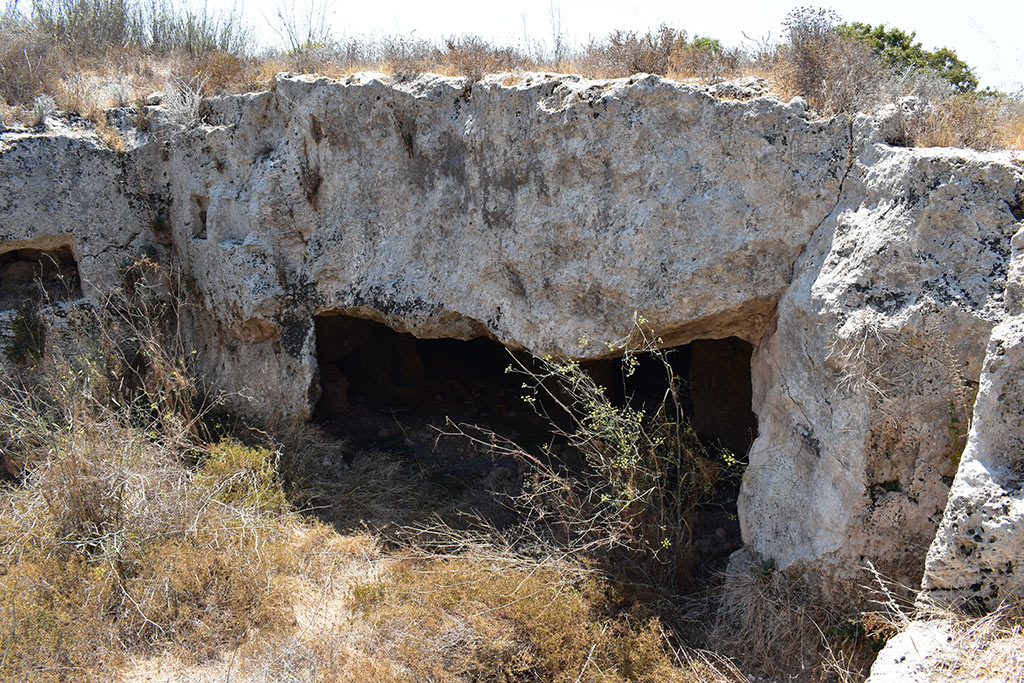 the-necropolis-in-the-neopolis_07