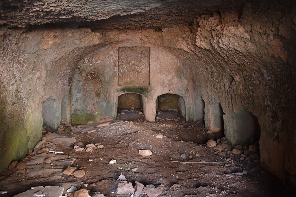the-necropolis-in-the-neopolis_11