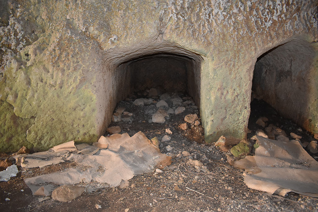 the-necropolis-in-the-neopolis_12