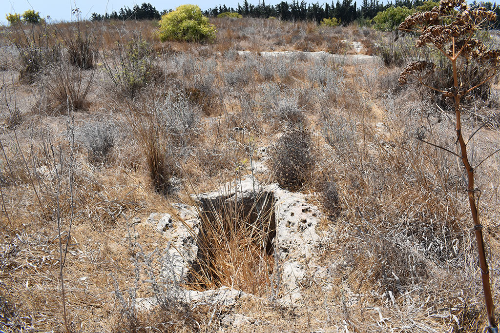 the-necropolis-in-the-neopolis_13
