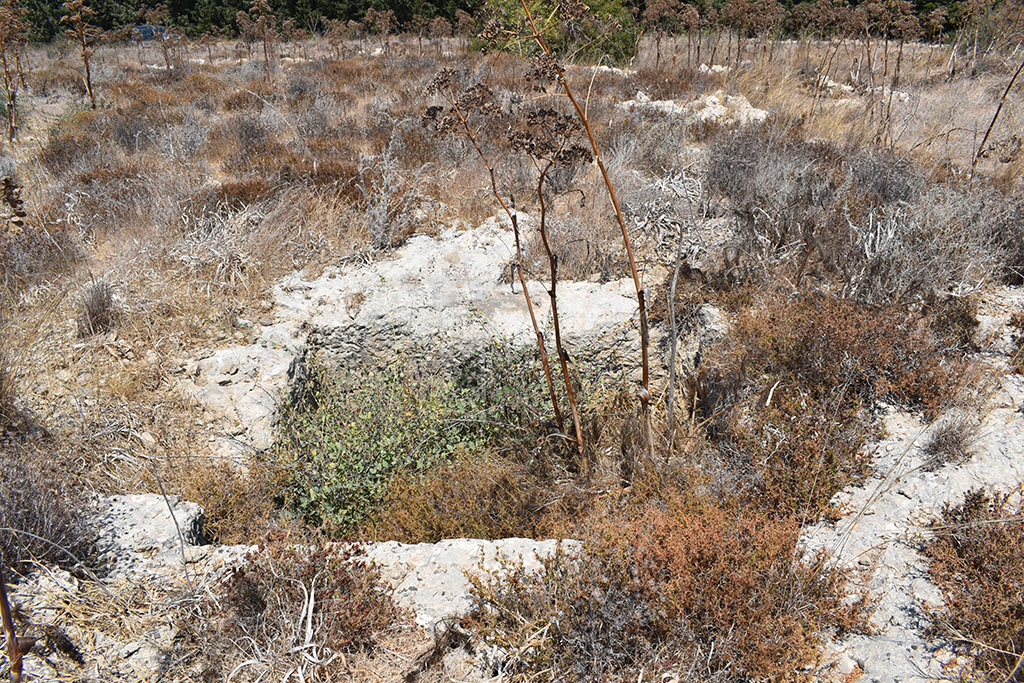 the-necropolis-in-the-neopolis_14