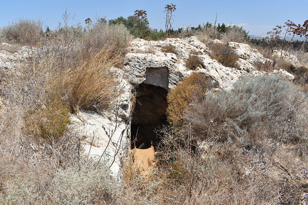 the-necropolis-in-the-neopolis_16