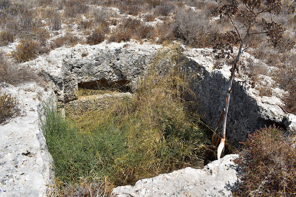 the-necropolis-in-the-neopolis_17