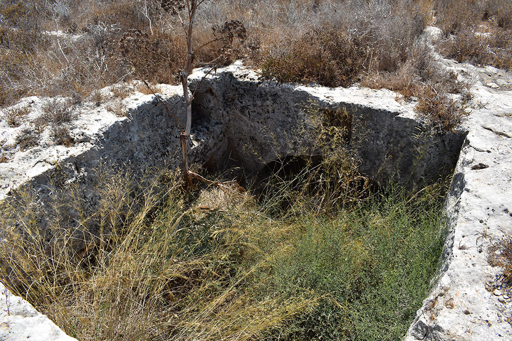 the-necropolis-in-the-neopolis_18