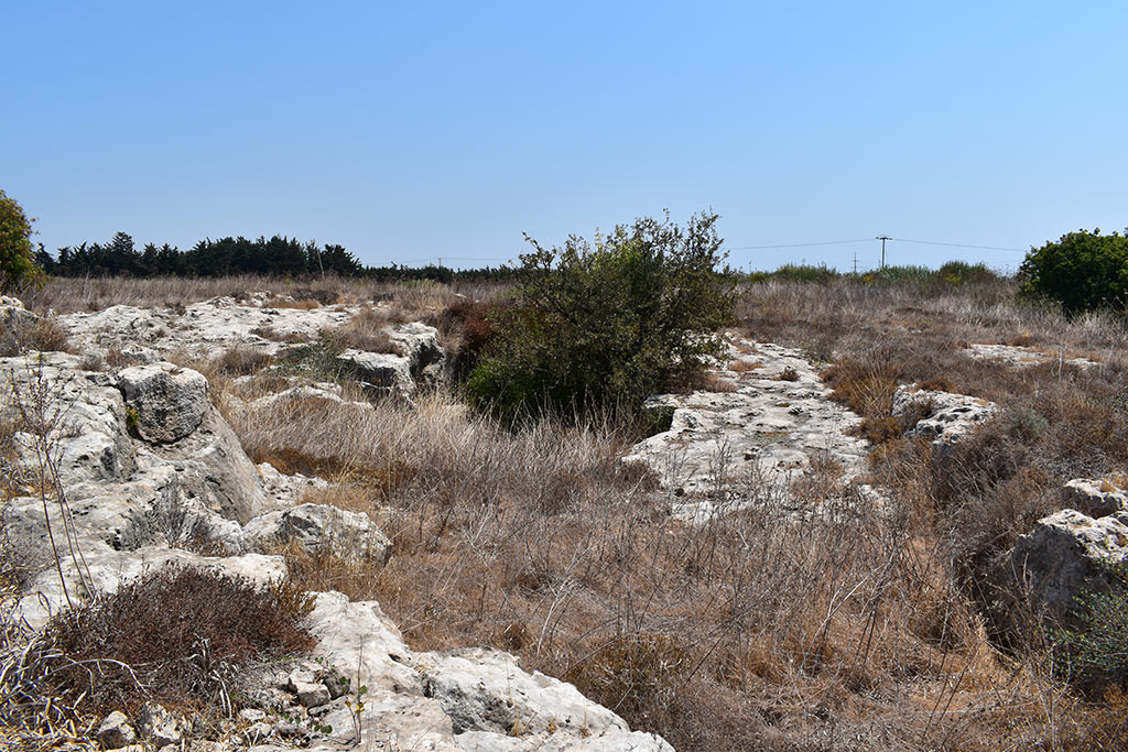 the-necropolis-in-the-neopolis_20