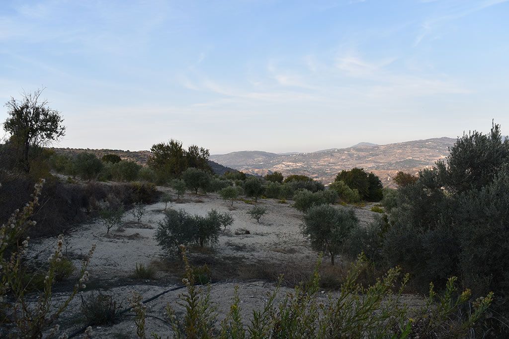 A-year-in-paphos 33-from-miliou-to-theletra 16 a-year-in-paphos_33-from-miliou-to-theletra_16