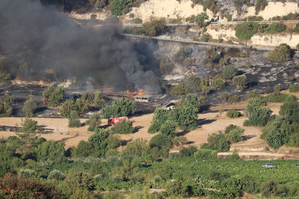 After-the-fires 14 after-the-fires_14