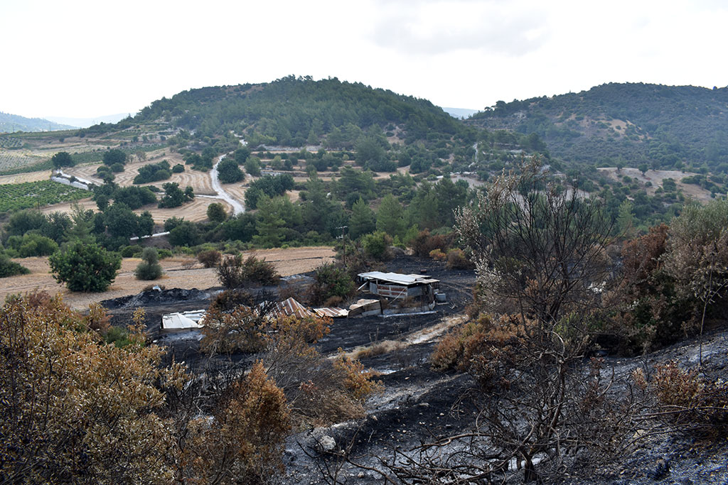 After-the-fires 15 after-the-fires_15