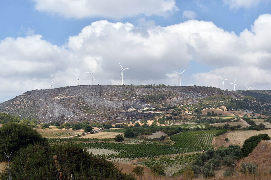 After-the-fires 16 after-the-fires_16