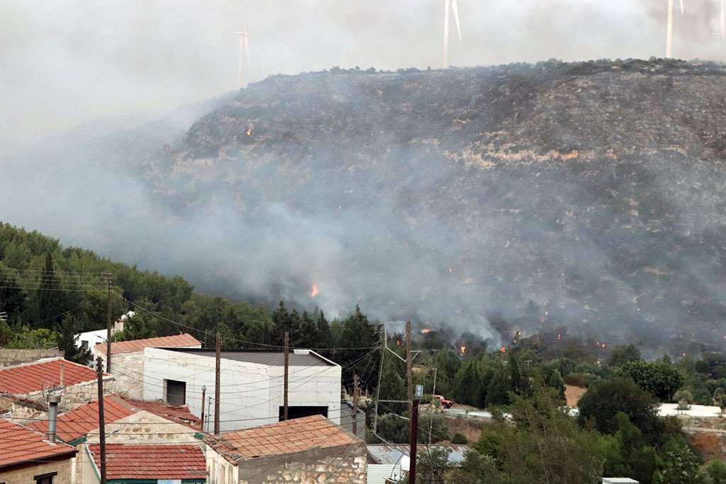 After-the-fires 21 after-the-fires_21