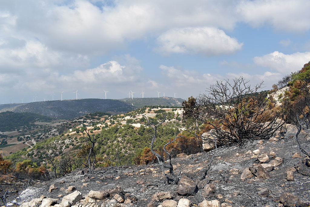 After-the-fires 24 after-the-fires_24