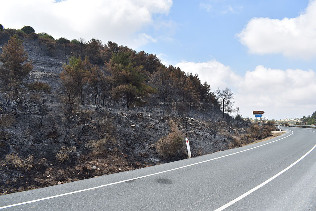 After-the-fires 28 after-the-fires_28