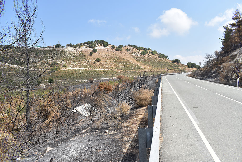 After-the-fires 29 after-the-fires_29