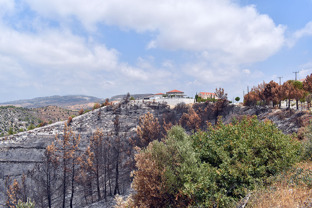 After-the-fires 49 after-the-fires_49