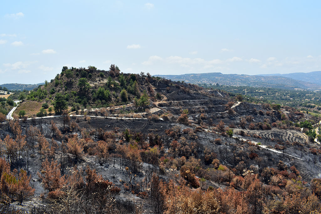After-the-fires 50 after-the-fires_50
