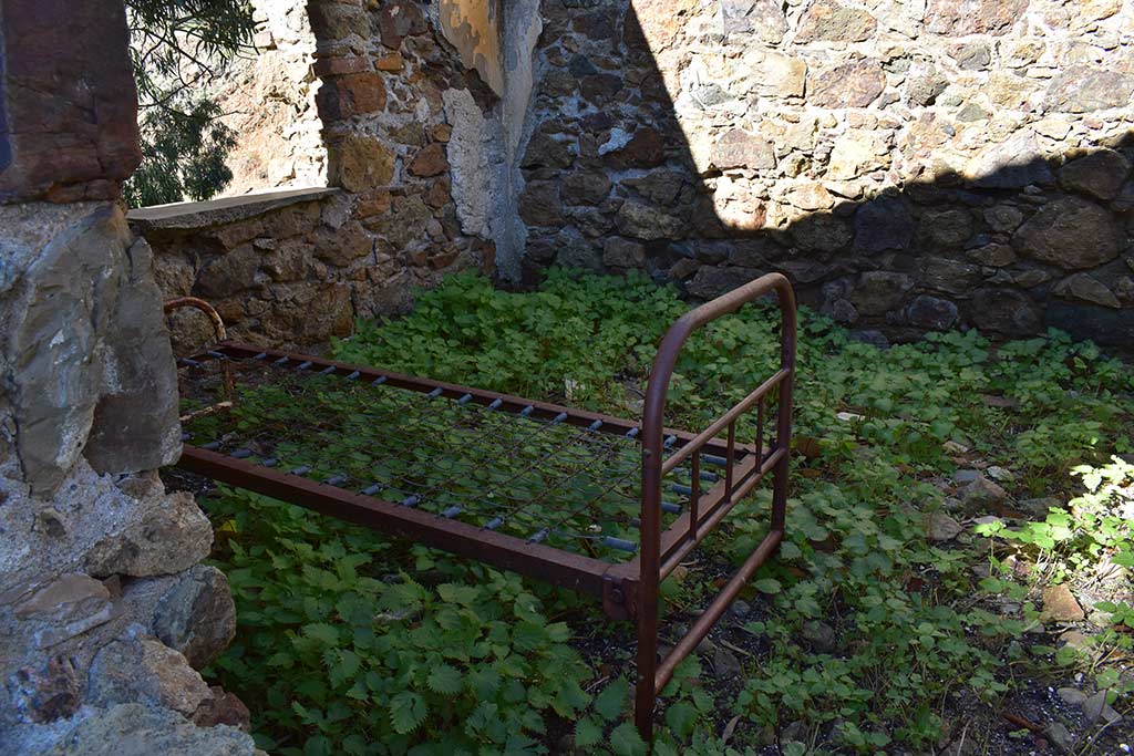 alevga_16