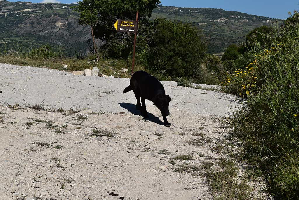 Arnies-nature-trail 21 arnies-nature-trail_21