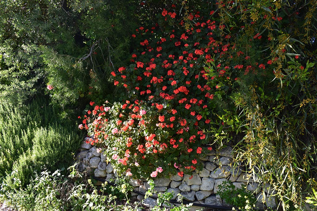 Arnies-nature-trail 30 arnies-nature-trail_30