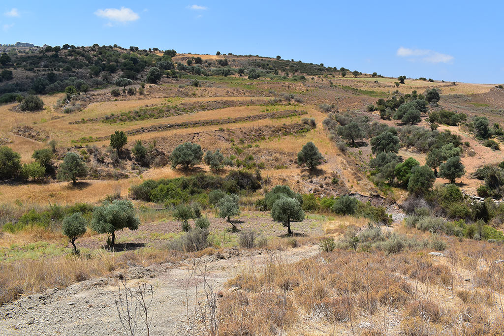 Droushia-lowlands 12 droushia-lowlands_12