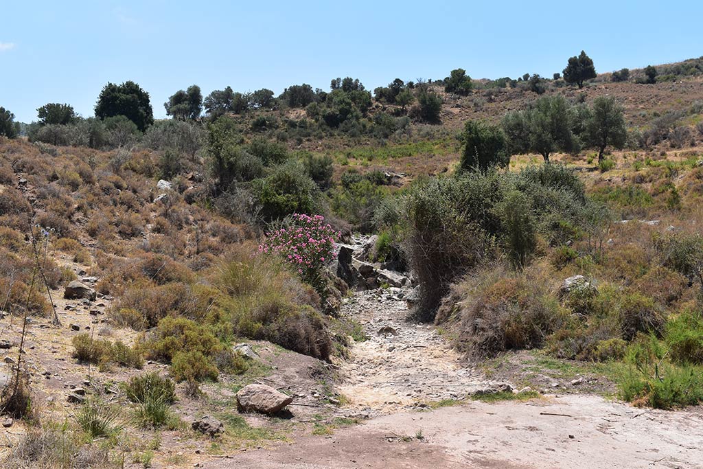 Droushia-lowlands 17 droushia-lowlands_17