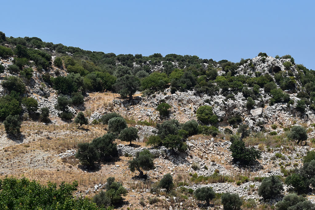 Droushia-lowlands 29 droushia-lowlands_29