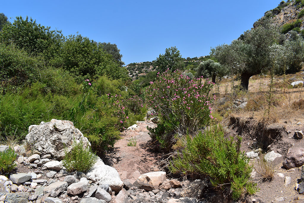 Droushia-lowlands 37 droushia-lowlands_37