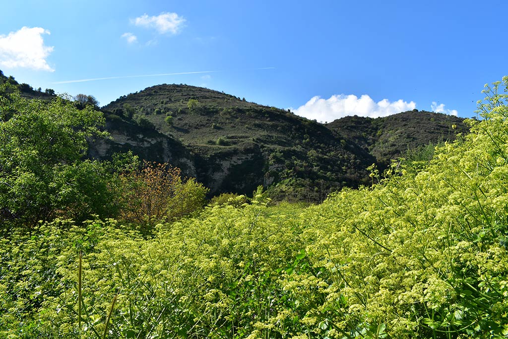 Gerovasa 05 gerovasa_05