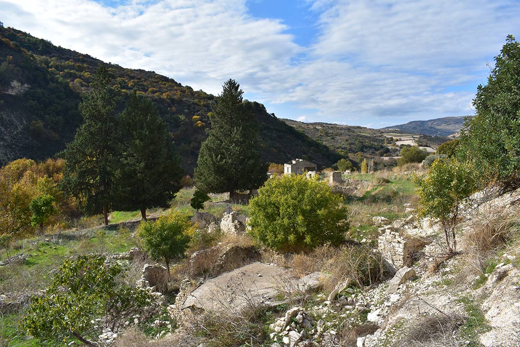 Gerovasa 46 gerovasa_46