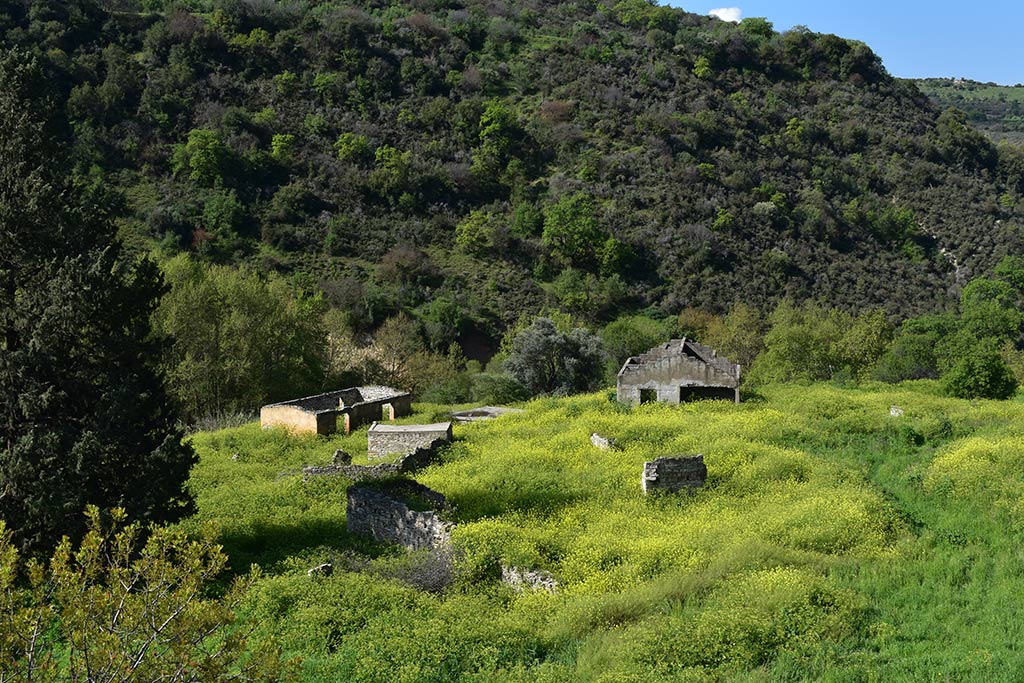 Gerovasa 47 gerovasa_47