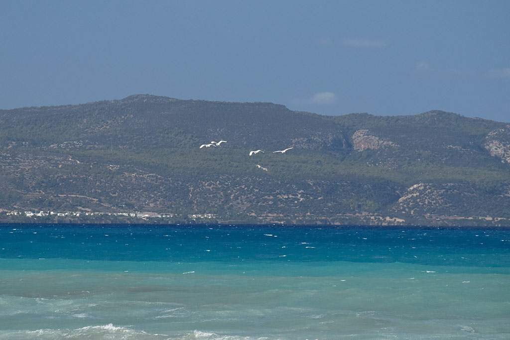 Pachyammos-seascapes 20 pachyammos-seascapes_20