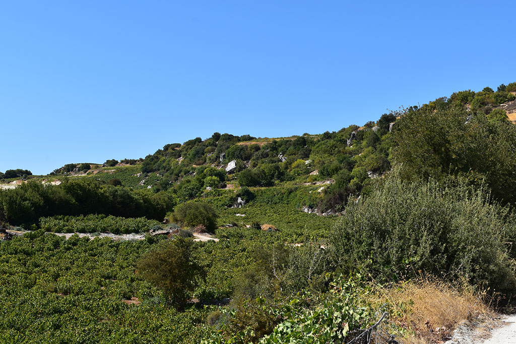 Panagia-hills 03 panagia-hills_03