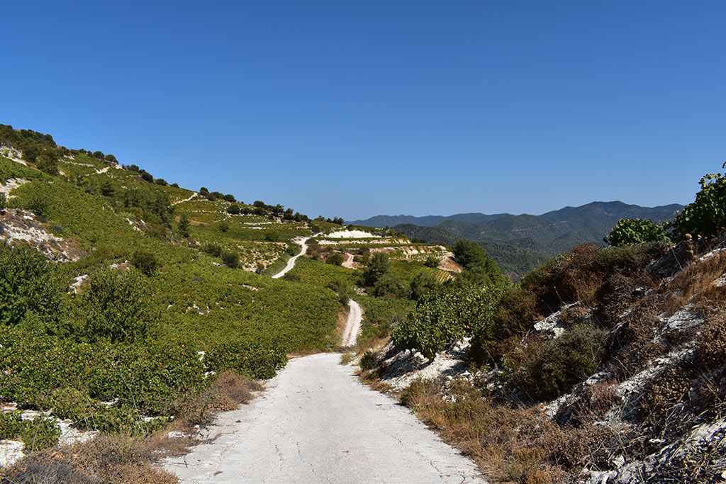Panagia-hills 05 panagia-hills_05