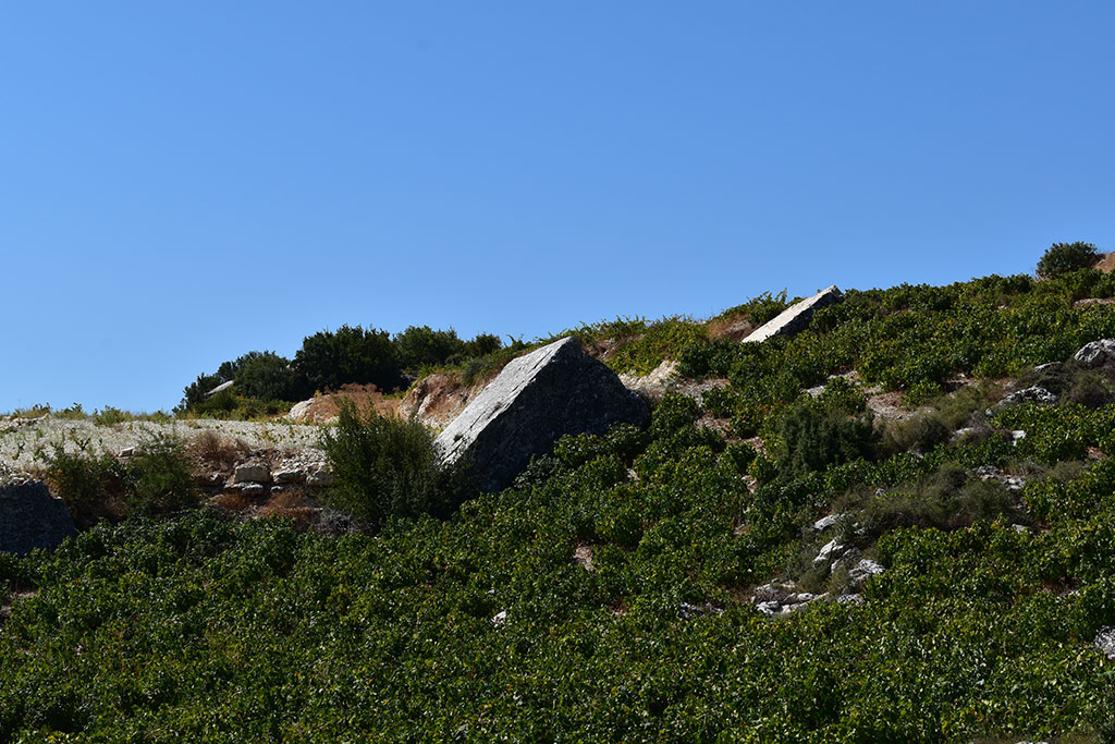 Panagia-hills 11 panagia-hills_11