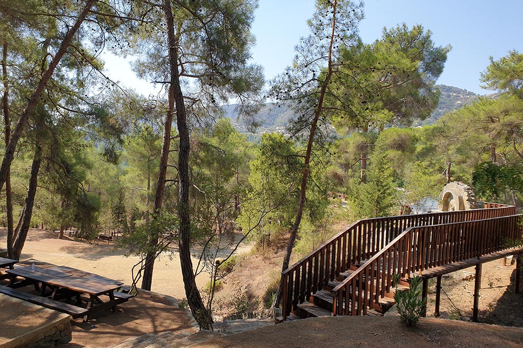 Paphos-forest-drive 01 paphos-forest-drive_01