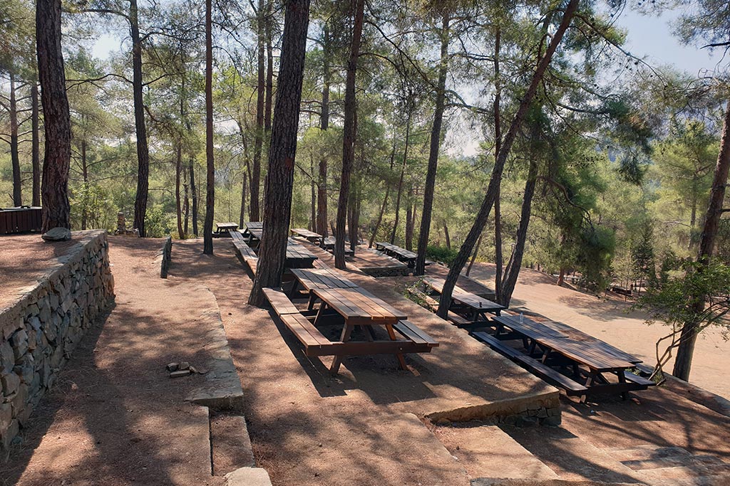 Paphos-forest-drive 02 paphos-forest-drive_02