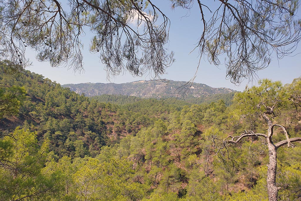 Paphos-forest-drive 03 paphos-forest-drive_03