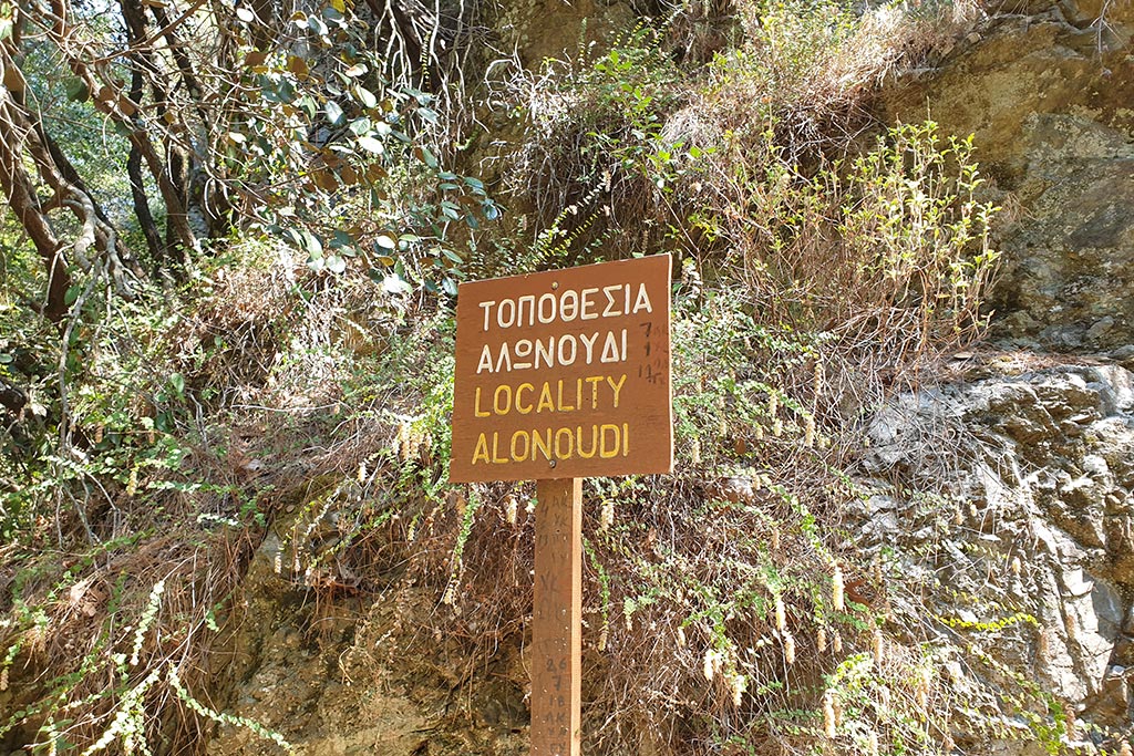 Paphos-forest-drive 07 paphos-forest-drive_07
