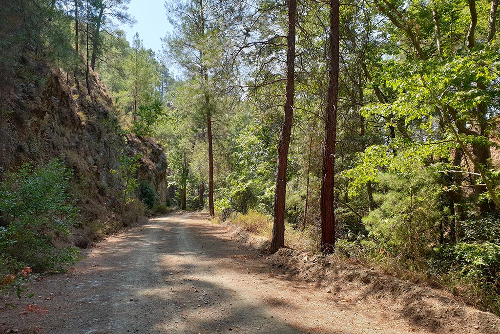 Paphos-forest-drive 09 paphos-forest-drive_09