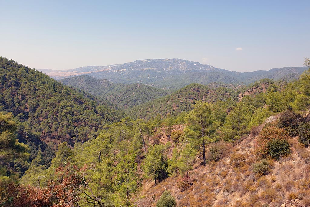 Paphos-forest-drive 12 paphos-forest-drive_12
