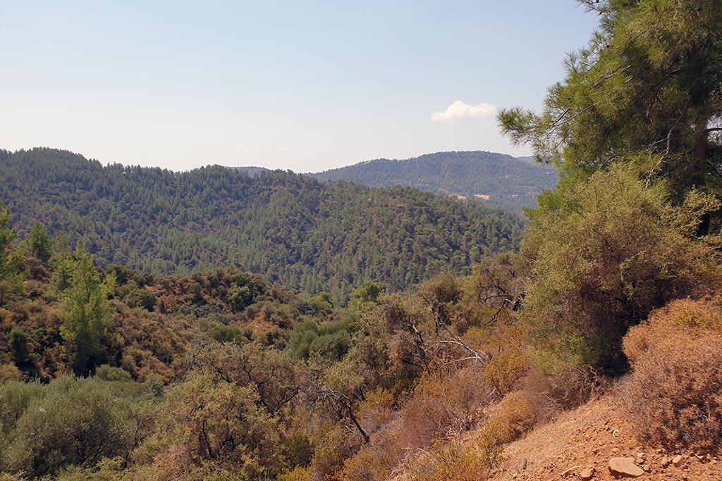 Paphos-forest-drive 13 paphos-forest-drive_13