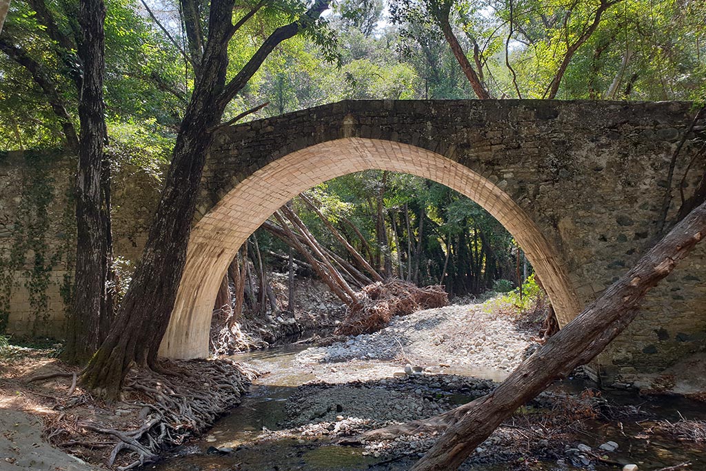 paphos-forest-drive_15