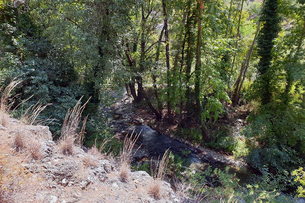 Paphos-forest-drive 20 paphos-forest-drive_20