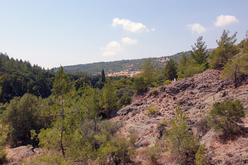 Paphos-forest-drive 23 paphos-forest-drive_23
