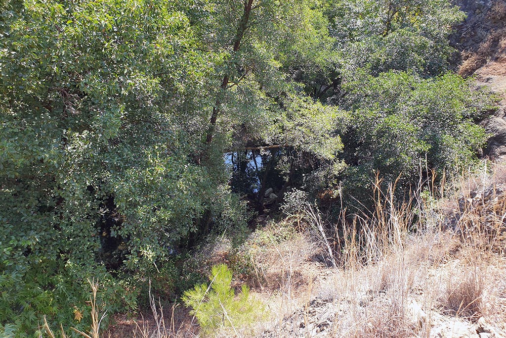 Paphos-forest-drive 24 paphos-forest-drive_24